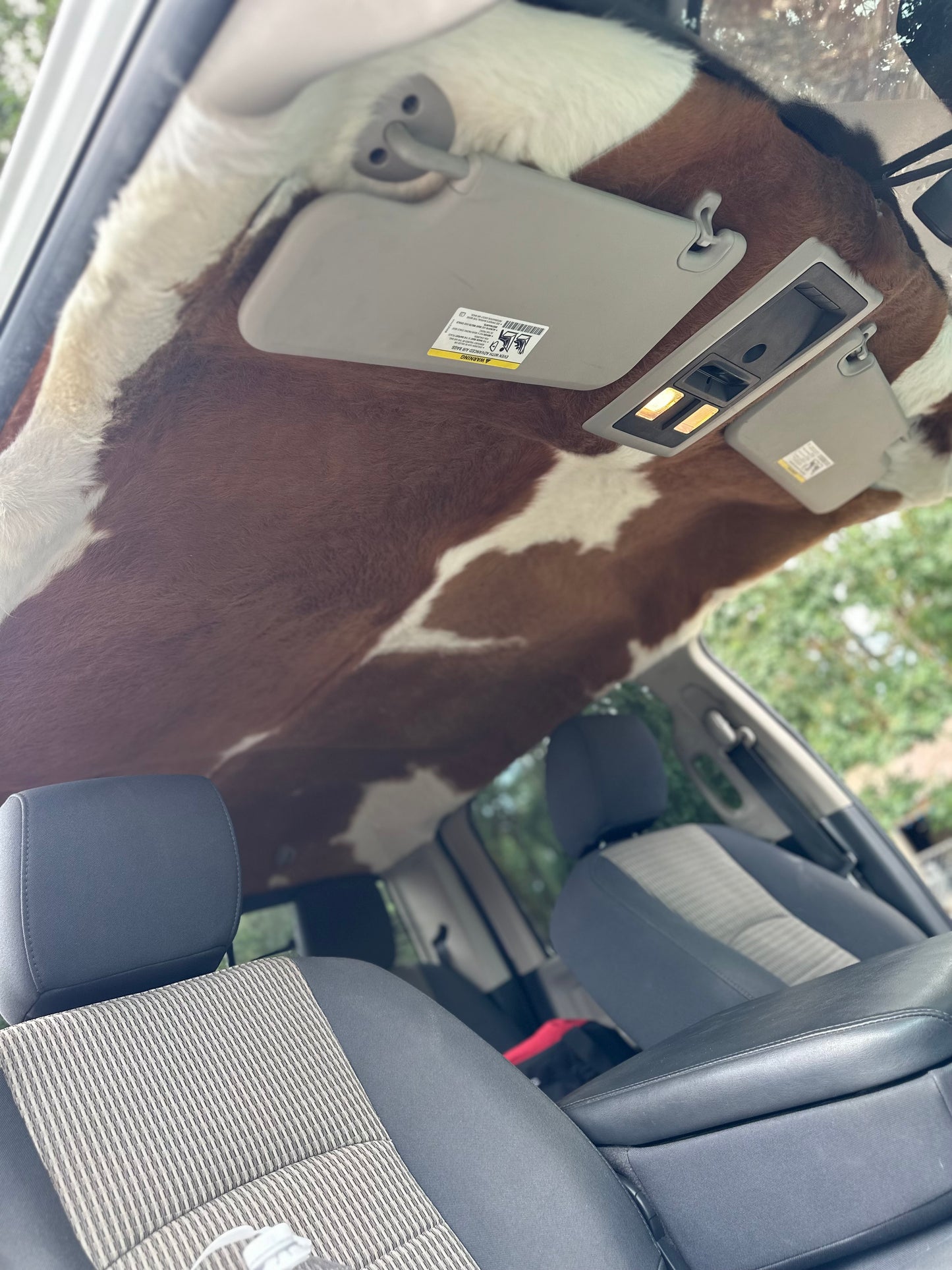 Cow Skin Headliner Years 2000-2019