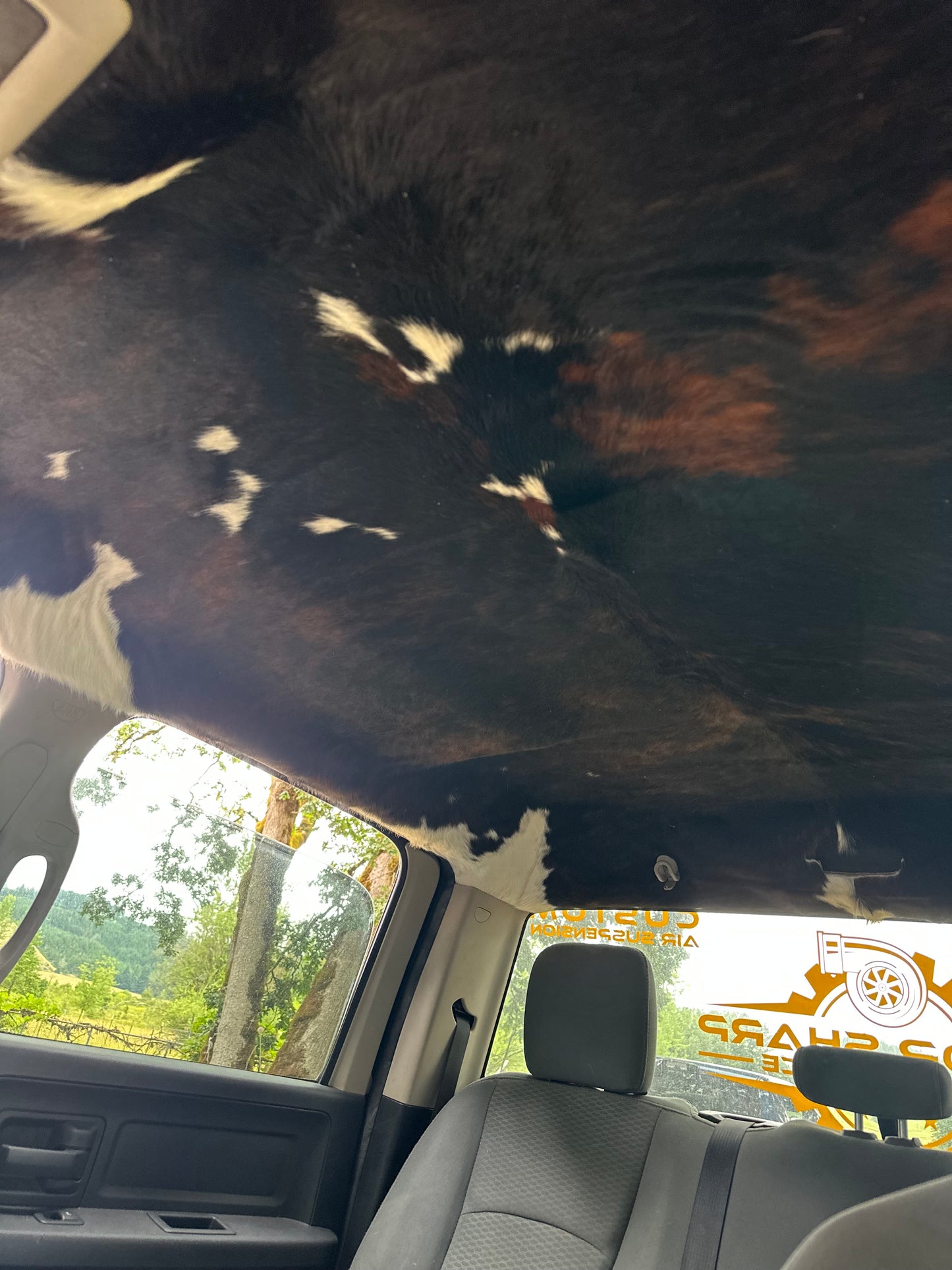 Cow Skin Headliner Years 2000-2019