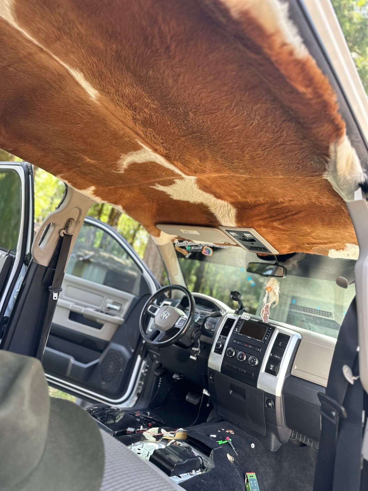 Cow Skin Headliner Years 2000-2019