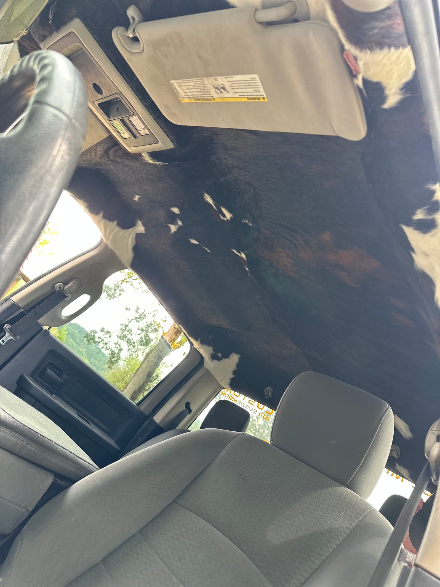 Cow Skin Headliner Years 2020-Current