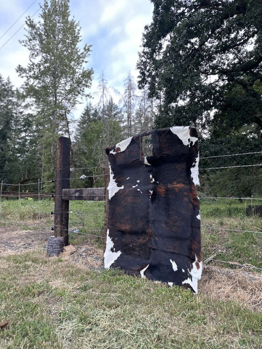 Cow Skin Headliner Years 2000-2019