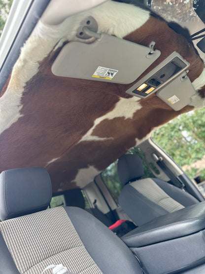Cow Skin Headliner Years 2020-Current